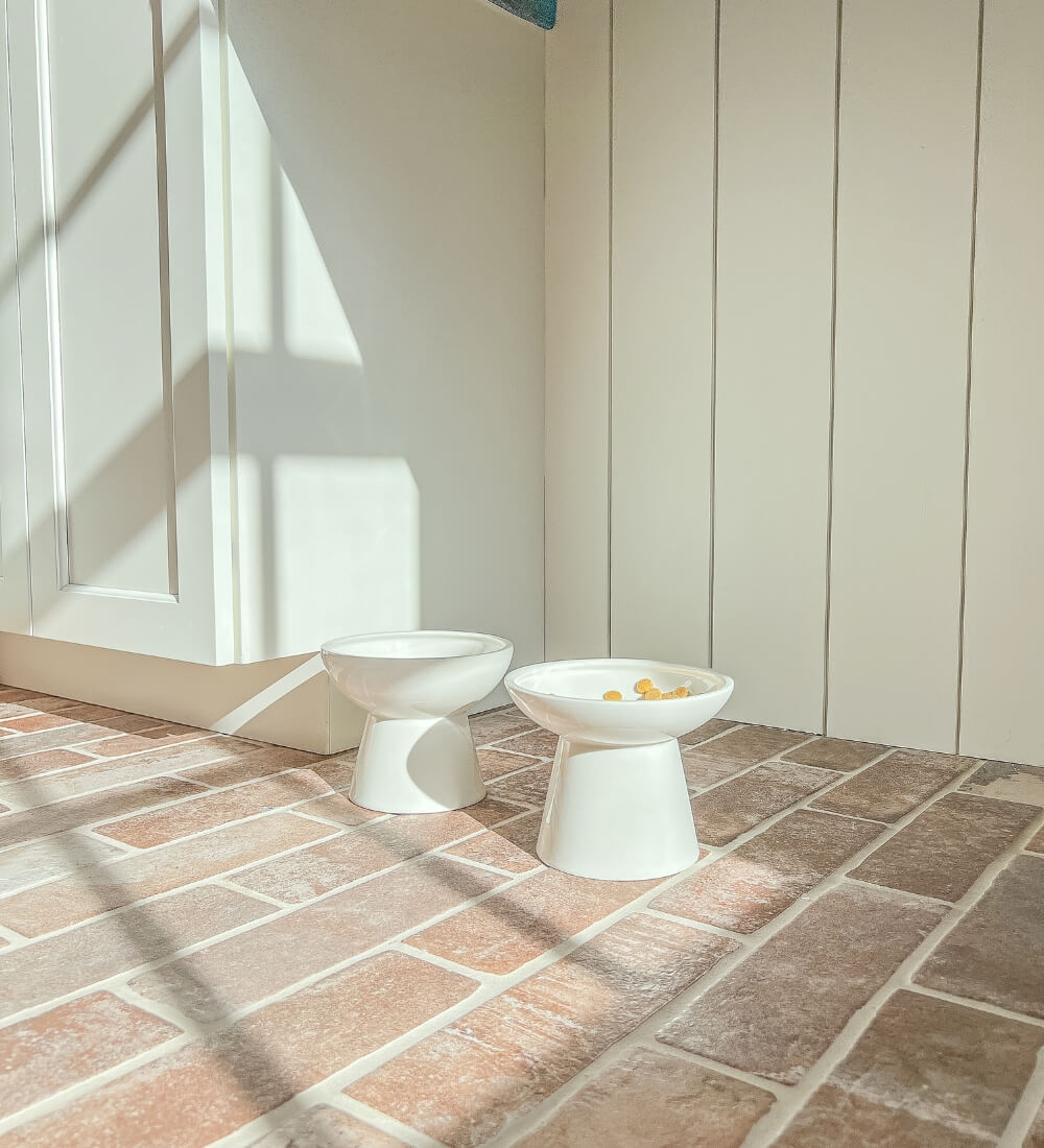 Two elevated white ceramic pet bowls placed on a sunlit brick tile floor in a cozy laundry room.